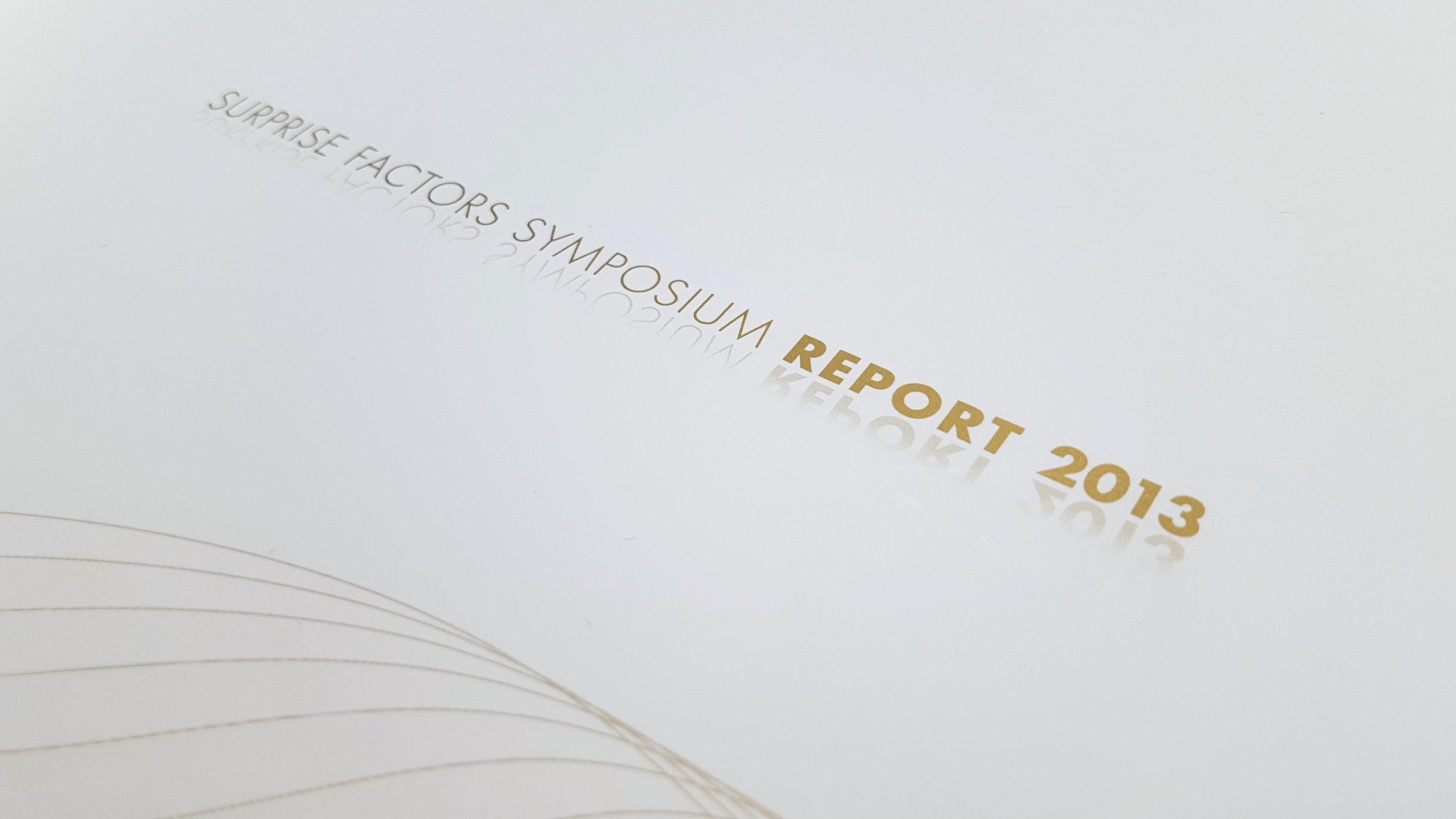 Report 2013