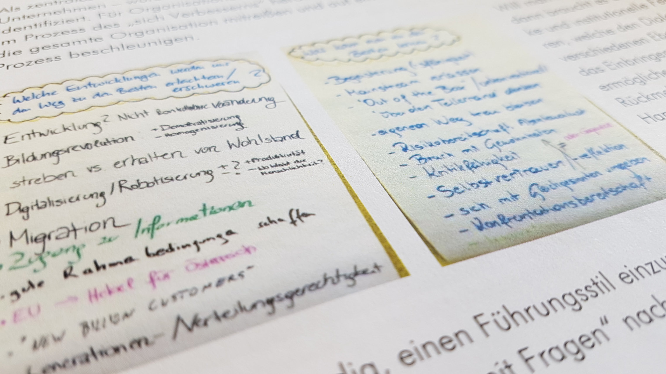 Young Academia Bericht 2015