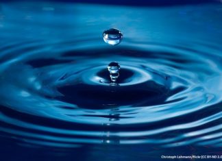 Christop Lehmann_flickr (CC BY-ND 2.0)