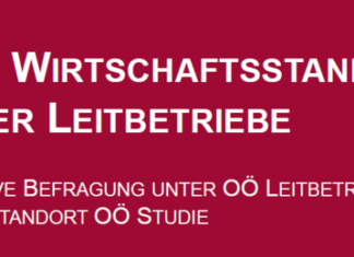 Der oö. Wirtschaftsstandort aus der Sicht der Leitbetriebe