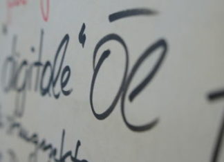 Big Data — Ein Steckbrief