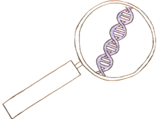 CRISPR/Cas9: Die „Gen-Schere” revolutioniert die Gentechnik