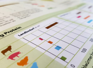 Blick in den Factsheet Insekten als Lebensmittel