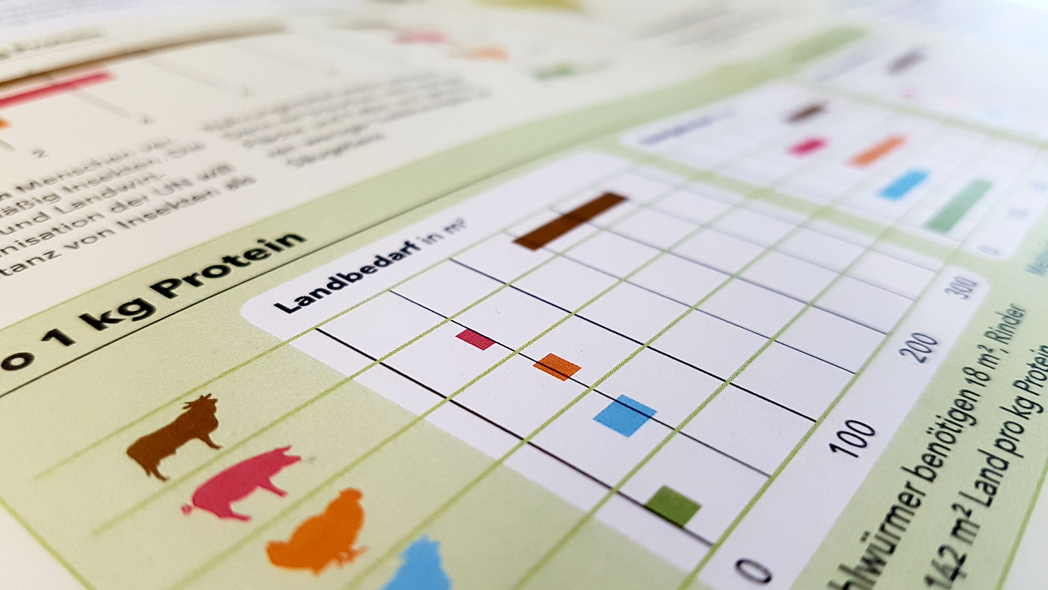 Blick in den Factsheet Insekten als Lebensmittel