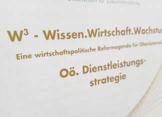 W³ Oberösterreichische Dienstleistungsstrategie W3 Dienstleistungsstrategie