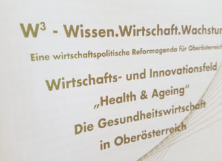 W³ Wirtschafts- und Innovationsfeld Health & Ageing W3 Health and Ageing