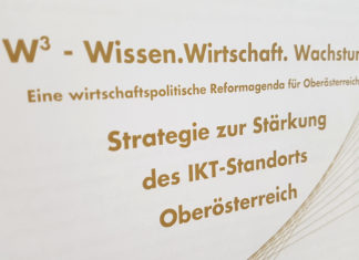 W³ Strategie zur Stärkung des IKT-Standortes Oberösterreich W3 IKT Standort