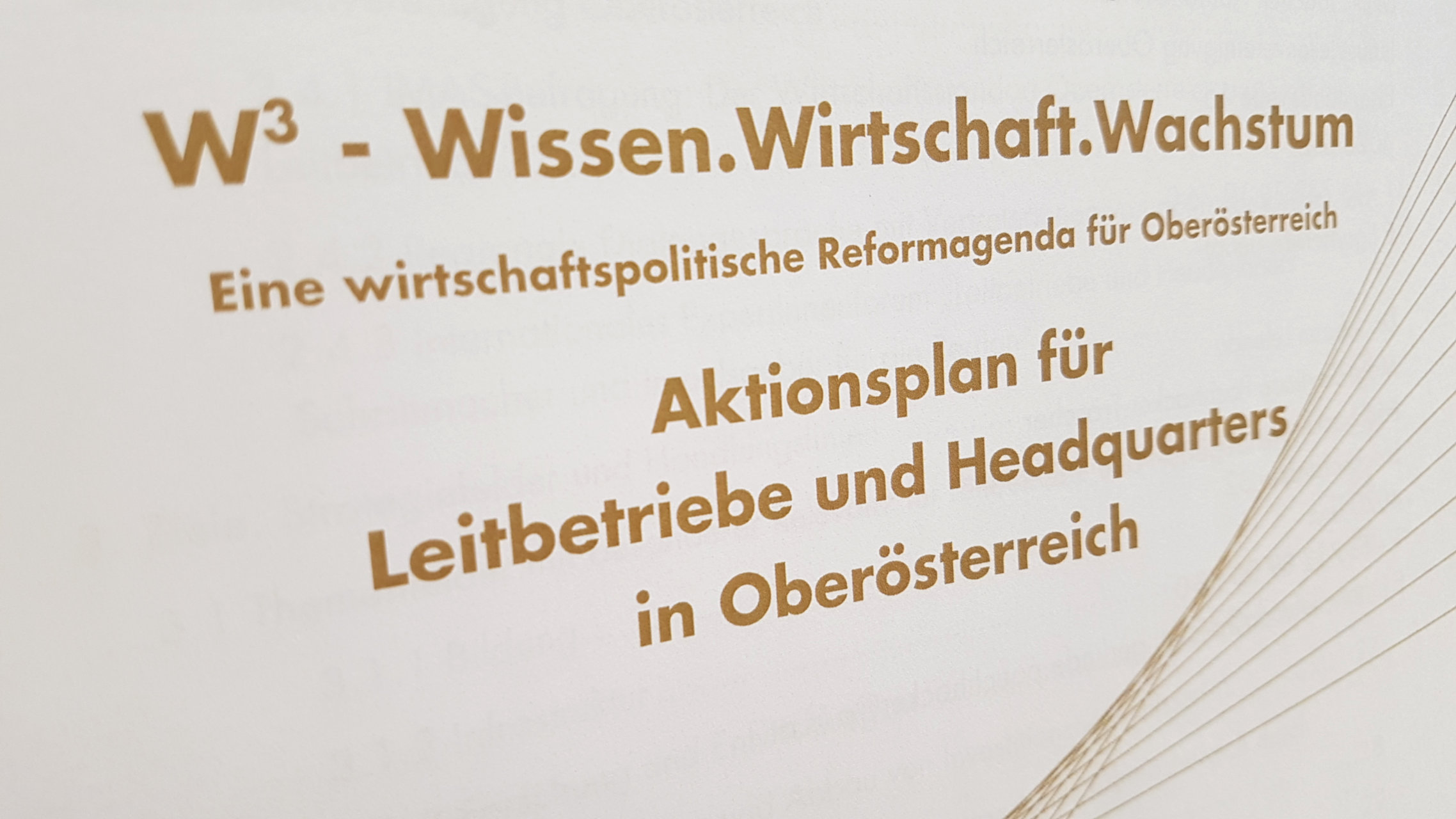 W3 Leitbetriebe und Headquarters