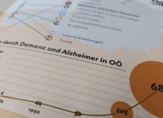Factsheet | Demenz