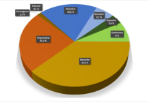 Ein Drittel sind aktive Zukunftsgestalter:innen