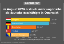 Surpise Fact: Mehr Ungarn als Deutsche am Arbeitsmarkt