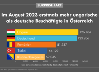 Surpise Fact: Mehr Ungarn als Deutsche am Arbeitsmarkt