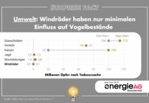 Surprise Fact: Windräder haben nur minimalen Einfluss auf Vogelbestände