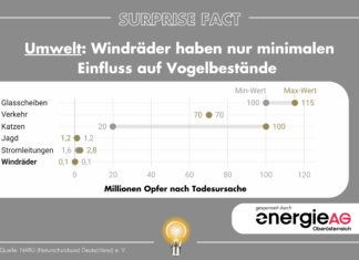 Surprise Fact: Windräder haben nur minimalen Einfluss auf Vogelbestände
